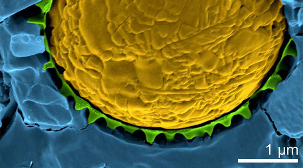 Image: An oil droplet (yellow) stabilized by temperature-sensitive microgels (green) in water (blue) (Photo courtesy of Marcel Rey)