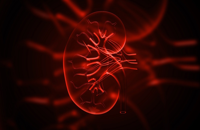 Image: The therapeutic tool can be used for children with kidney issues stemming from sepsis (Photo courtesy of 123RF)