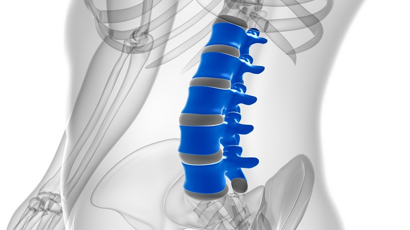 Image: ‘Wraparound’ implants represent a new approach to treating spinal cord injuries (Photo courtesy of 123RF)