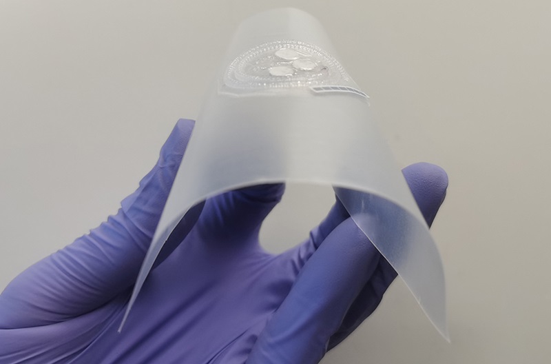 Image: The health monitor is flexible and designed to be comfortable to wear (Photo courtesy of Washington State University)