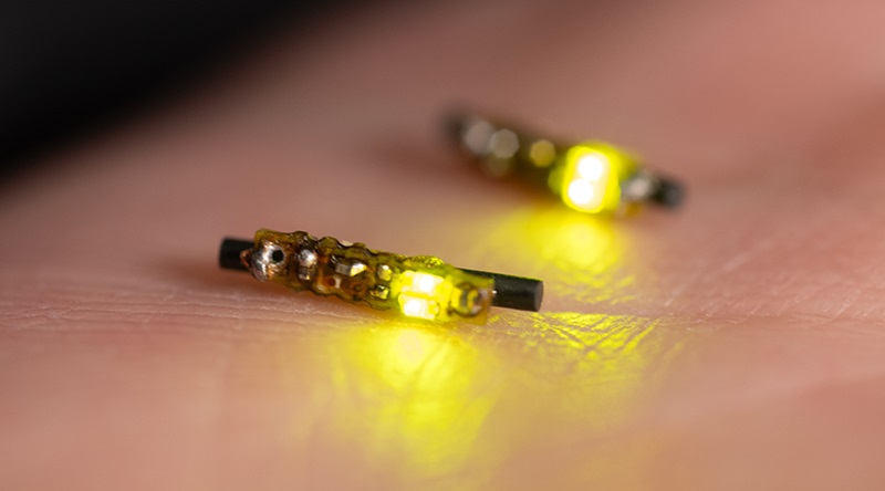 Image: The wireless implantable LED-device when combined with a light-sensitive dye destroys cancer cells (Photo courtesy of University of Notre Dame)