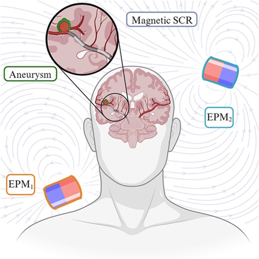 Image: The researchers navigated a soft magnetic robot through the tiny pathways of a brain phantom to the base of an aneurysm (Photo courtesy of International Journal of Robotics Research)