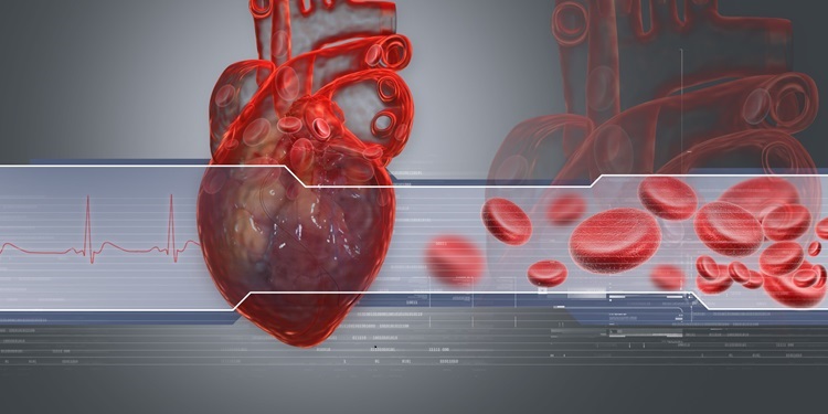 Image: The mathematical method enables fast, accurate estimates of cardiovascular state to inform blood pressure management (Photo courtesy of 123RF)