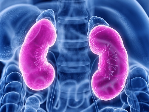 Image: The radiology test can be used to diagnose immune checkpoint inhibitor-associated acute kidney injury (Photo courtesy of 123RF) Image: The radiology test can be used to diagnose immune checkpoint inhibitor-associated acute kidney injury (Photo courtesy of 123RF)