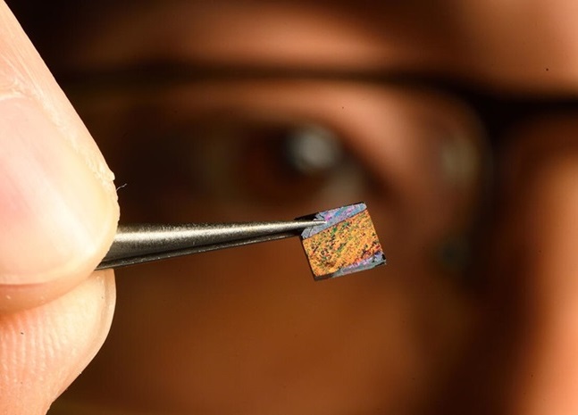 Image: At the heart of the blood test is the chip featuring a groundbreaking nanostructured surface on which blood is tested (Photo courtesy of Will Kirk/Johns Hopkins University)