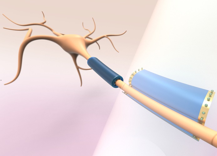 Image: The subcellular-sized devices could be used to measure or modulate a neuron\'s electrical activity (Photo courtesy of Pablo Penso, © Marta Airaghi/MIT)