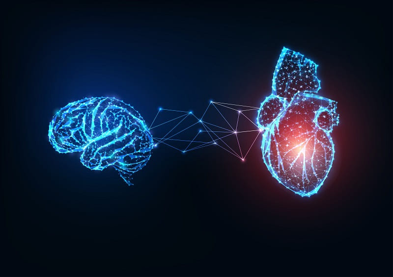 Image: Changes in immune cells can predict patient recovery following out-of-hospital cardiac arrest (Photo courtesy of Adobe Stock)