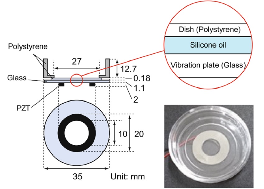 Image: Overview of the experimental setup for ultrasonication-directed myoblast orientation (Photo courtesy of Doshisha University)