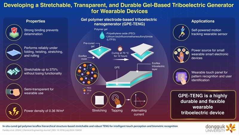 Image: An in-situ curing strategy to develop a stretchable, semi-transparent, and durable GPE-TENG (Photo courtesy of Pandey et al. (2024), Chemical Engineering Journal; DOI: 10.1016/j.cej.2024.156650)