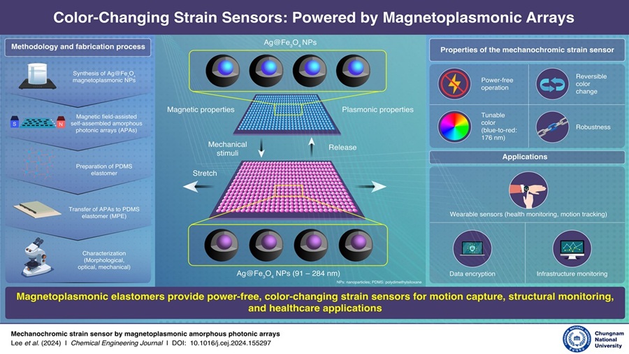 Image: Researchers have designed a magnetoplasmonic strain sensor for wearable devices (Photo courtesy of Chemical Engineering Journal, DOI: https://doi.org/10.1016/j.cej.2024.155297)