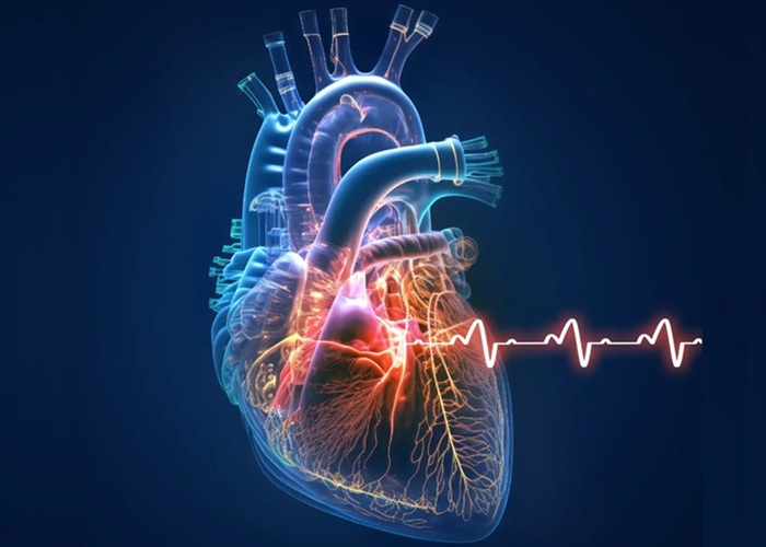 Image: The patented methodology helps know a patient’s hemodynamics non-invasively, faster and more accurately (Photo courtesy of SeeMedX)