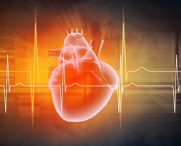 Image: Personalized heart digital twins can detect substrate abnormalities in scar-dependent ventricular tachycardia (Photo courtesy of 123RF)