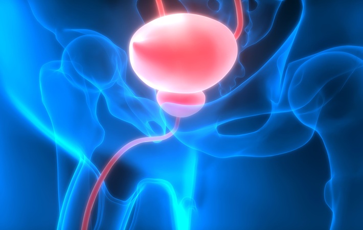 Image: The promising new method for bladder cancer surgery could offer an alternative to traditional techniques (Photo courtesy of Adobe Stock)