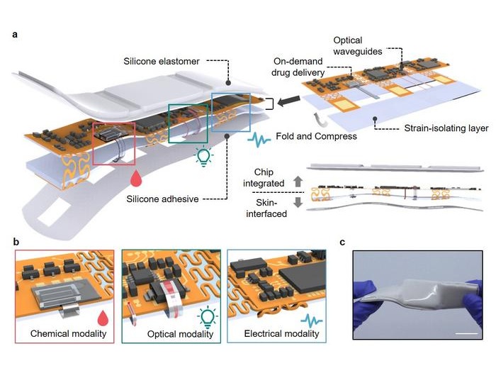 Image: Schematic diagram of a wireless, skin-contact system that simultaneously measures biosignals and delivers drugs (Photo courtesy of DGIST)