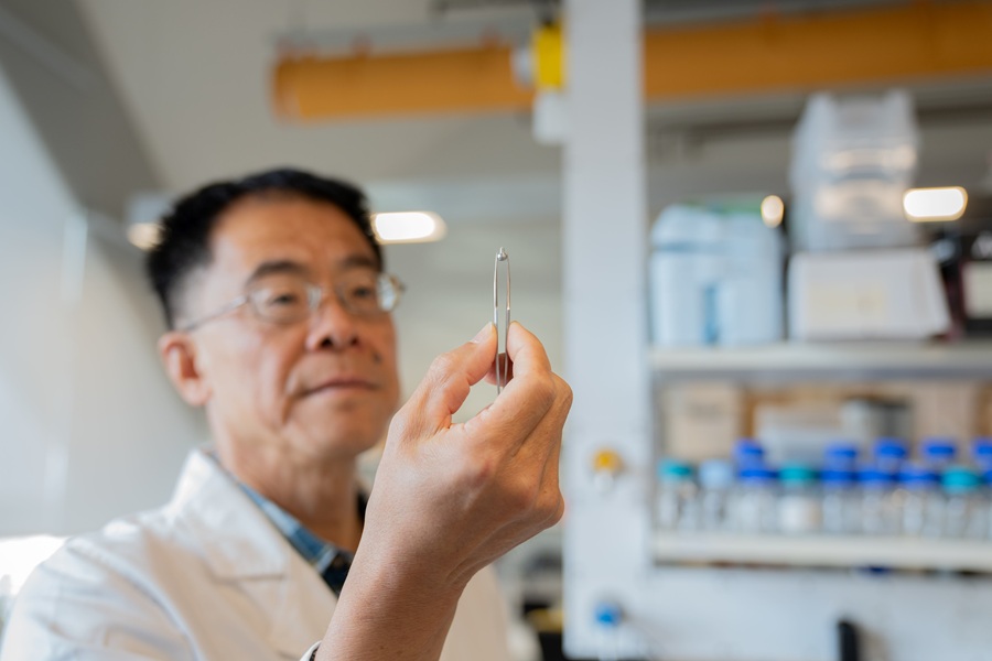 Image: Professor Nei with his zinc alloy prototype (Photo courtesy of Monash University)