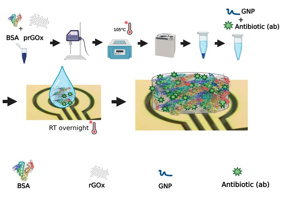 Image: The novel coating prevents biofouling and unwanted immune reactions (Photo courtesy of Biosensors; DOI: 10.3390/bios15030171)