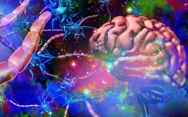 Image: The AI tool can help interpret and assess how well treatments are working for MS patients (Photo courtesy of Shutterstock) Image: The AI tool can help interpret and assess how well treatments are working for MS patients (Photo courtesy of Shutterstock)