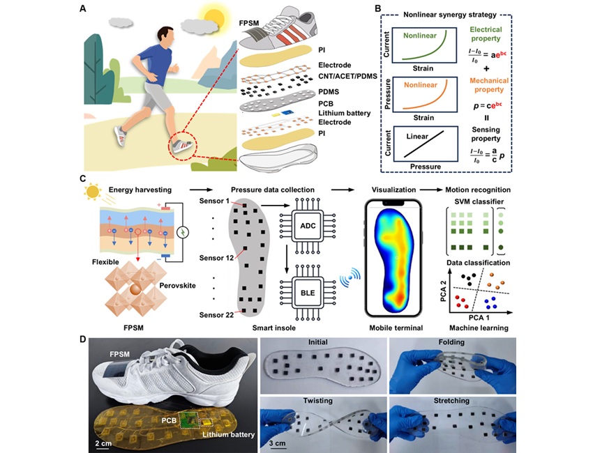 Image: Overview of the self-powered smart insole (Photo courtesy of Science Advances, DOI: 10.1126/sciadv.adu1598)