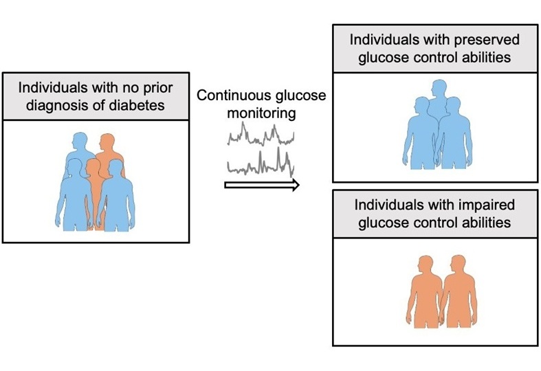 Image: The novel approach utilizes continuous glucose monitoring to detect early signs of impaired glucose regulation (Photo courtesy of Shinya Kuroda/University of Tokyo)