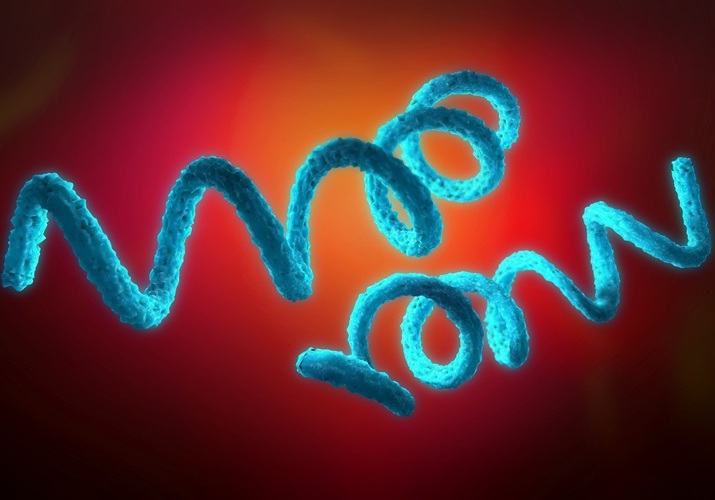 Image: A one-step confirmatory laboratory test could definitively diagnose active syphilis infection within 10 minutes (Photo courtesy of Adobe Stock)