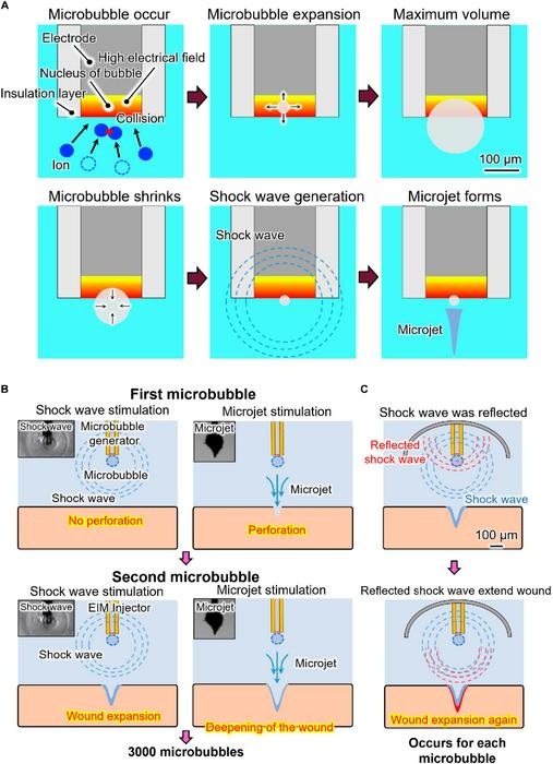 Image: The principle of needle-free injection based on the reflection of shock waves through microbubble dynamics (Photo courtesy of Yibo Ma/Kyushu University)