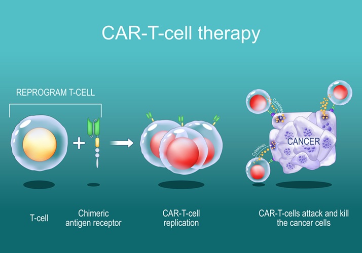 Image: The researchers used magnets and new device to isolate disease-fighting T cells (Photo courtesy of CWRU)