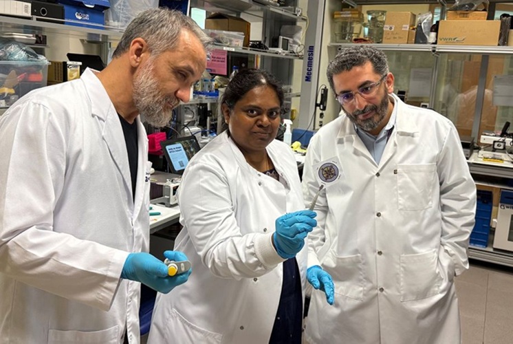 Image: The paper-based diagnostic tool is designed for rapid, affordable infectious disease detection (Photo courtesy of Advanced Microfluidics and Microdevices Laboratory, NYU Abu Dhabi)