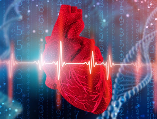 Image: A research collaboration aims to further advance findings in human genomics research in cardiovascular diseases (Photo courtesy of 123RF)