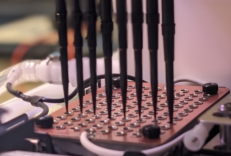 Image: New automated lab procedures can detect opioids in tiny amounts of blood (Photo courtesy of Tripathi Lab/Brown University)