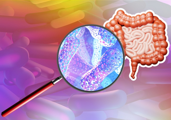 Image: The microbiome holds promise for diagnostics and therapeutic uses (Photo courtesy of 123RF)