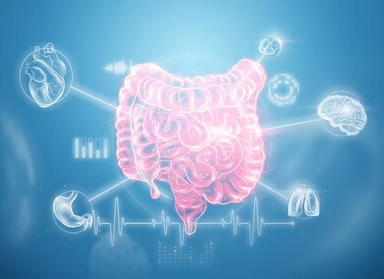 Image: The AI tool identifies IBD-associated illnesses that might otherwise be missed (Photo courtesy of 123RF)