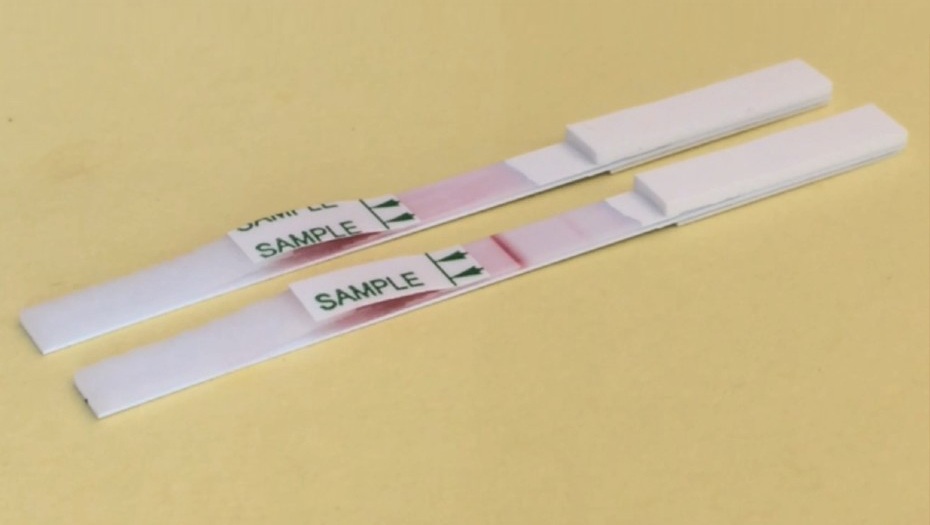 Image: A prototype of the lateral flow test (Photo courtesy of University of Exeter)
