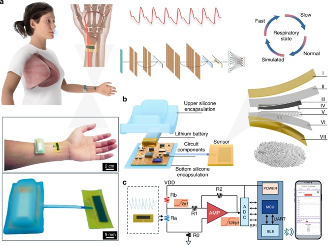 Image: Schematic illustration of the flexible sensor system (Photo courtesy of Microsystems & Nanoengineering; DOI: 10.1038/s41378-025-00924-4)