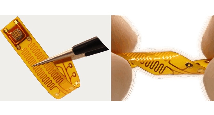 Image: The new implantable device for chronic pain management is small and flexible (Photo courtesy of The Zhou Lab at USC)