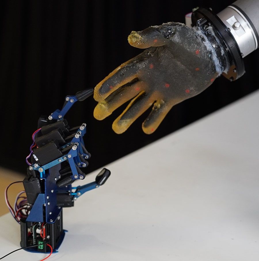 Image: The revolutionary robotic skin brings machines closer to human-like touch (Photo courtesy of University of Cambridge)