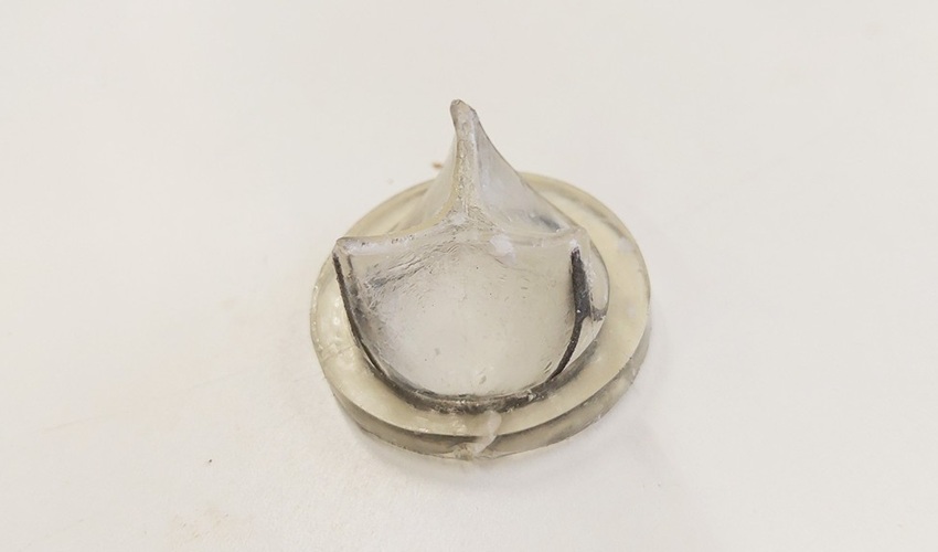 Image: Heart valve prosthesis obtained by PHOx injection molding (Photo courtesy of A. Pierrard/Université de Liège)