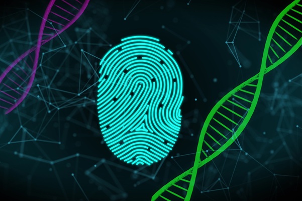 Image: A molecular footprint of injury opens the door to delivering diagnostics or therapies directly to the site (Photo courtesy of 123RF)