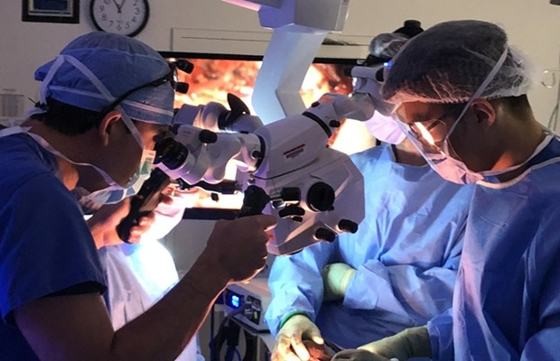 Image: A new drug that causes nerve tissue to emit light enables faster and safer surgery (Photo courtesy of the University of New Mexico)
