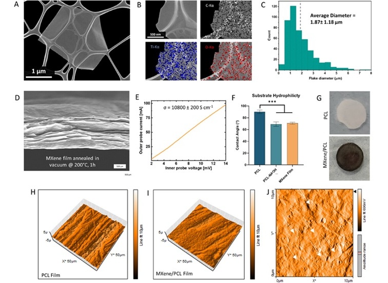 Image: The biomimetic MXene-ECM scaffolds offer a promising new approach to neurotrauma repair (Woods et al., Adv. Sci., 2025; doi.org/10.1002/advs.202503454)