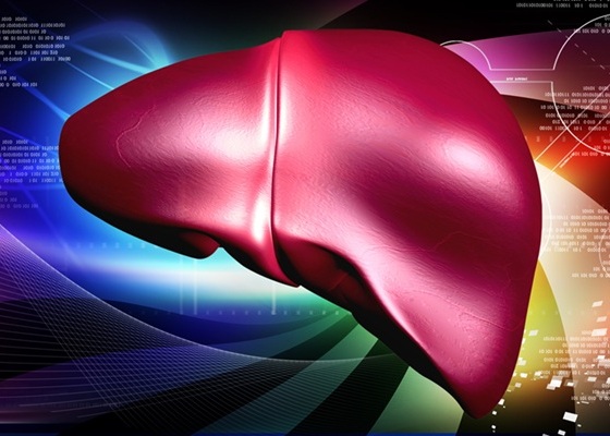 Image: The machine-learning model outscores older methods at predicting death risk for hospitalized cirrhosis patients (Photo courtesy of 123RF)
