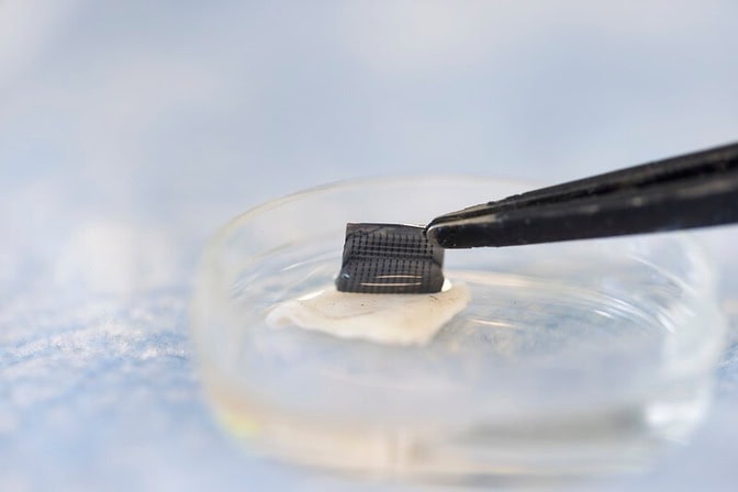 Image: The newly designed ExoPatch successfully distinguished melanoma from healthy skin in mice (Photo courtesy of Jeremy Little/Michigan Engineering) Image: The newly designed ExoPatch successfully distinguished melanoma from healthy skin in mice (Photo courtesy of Jeremy Little/Michigan Engineering)