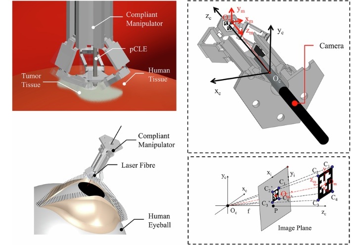 Image: An origami-inspired microrobot for precision surgical manipulation (Photo courtesy of Chen X. et al., Microsystems & Nanoengineering)