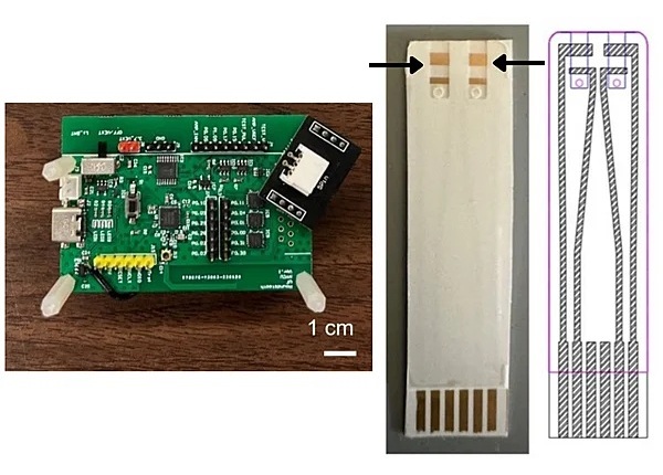 Image: Left, the improved mini-board sensor and right, the double-channel strip (Photo courtesy of University of Florida)