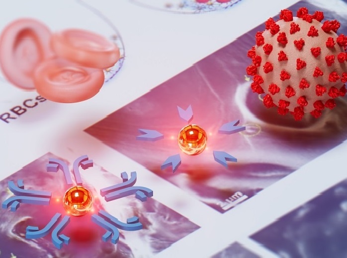 Image: The device’s sensitivity is nearly 100,000 times greater than that of standard laboratory tests (Photo courtesy of Jason Drees)