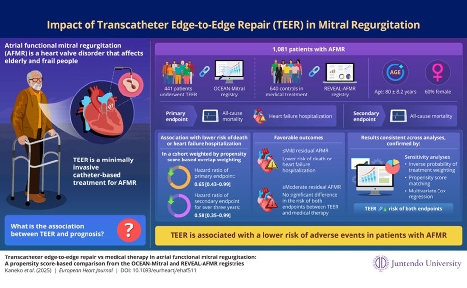 Image: TEER is associated with lower mortality and heart failure hospitalization rates among elderly patients with AFMR (Photo courtesy of Assistant Professor Tomohiro Kaneko/Juntendo University)