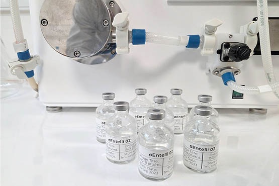 Image: The Entelli-02 bespoke phage therapy is designed specifically to target Enterobacter cloacae complex (Photo courtesy of Monash University)