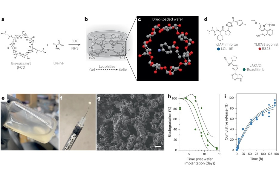 Image: CANDI wafer enables local delivery of immunostimulatory small molecules in the GBM resection cavity (Y Kaiser et al., Nat Biomed Eng (2025). DOI: 10.1038/s41551-025-01533-2)