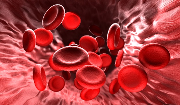 Image: The new ultrasound-based tool measures blood viscosity in real time (Photo courtesy of Shutterstock)