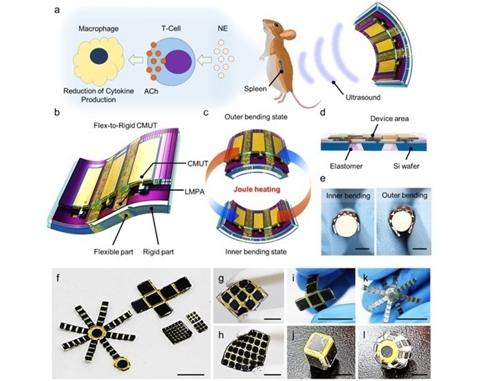 Image: The flex-to-rigid wearable ultrasound sensor maintains high acoustic power for imaging and treatment (Lee, SM., Liang, X., Jo, Y. et al. npj Flex Electron 9, 107 (2025). DOI: 10.1038/s41528-025-00484-7)