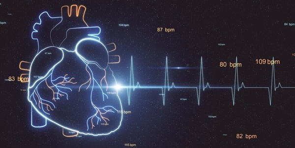 Image: The AI model can analyze a standard 10-second ECG to identify coronary microvascular dysfunction (Photo courtesy of 123RF)
